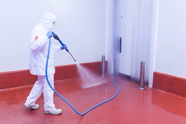Best Roof Washing  in Concordia, MO